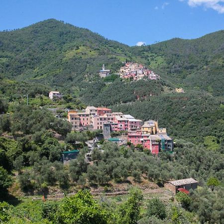 Le Case Della Lizza - Casa Rossa Levanto Kültér fotó