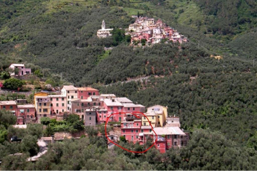 Le Case Della Lizza - Casa Rossa Levanto Kültér fotó