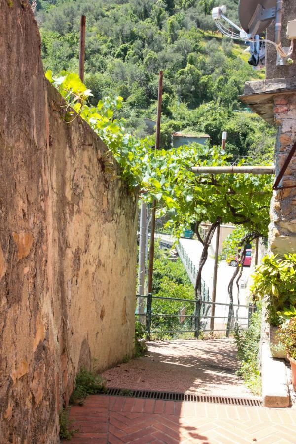 Le Case Della Lizza - Casa Rossa Levanto Kültér fotó